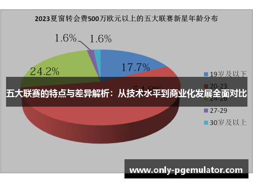 五大联赛的特点与差异解析：从技术水平到商业化发展全面对比